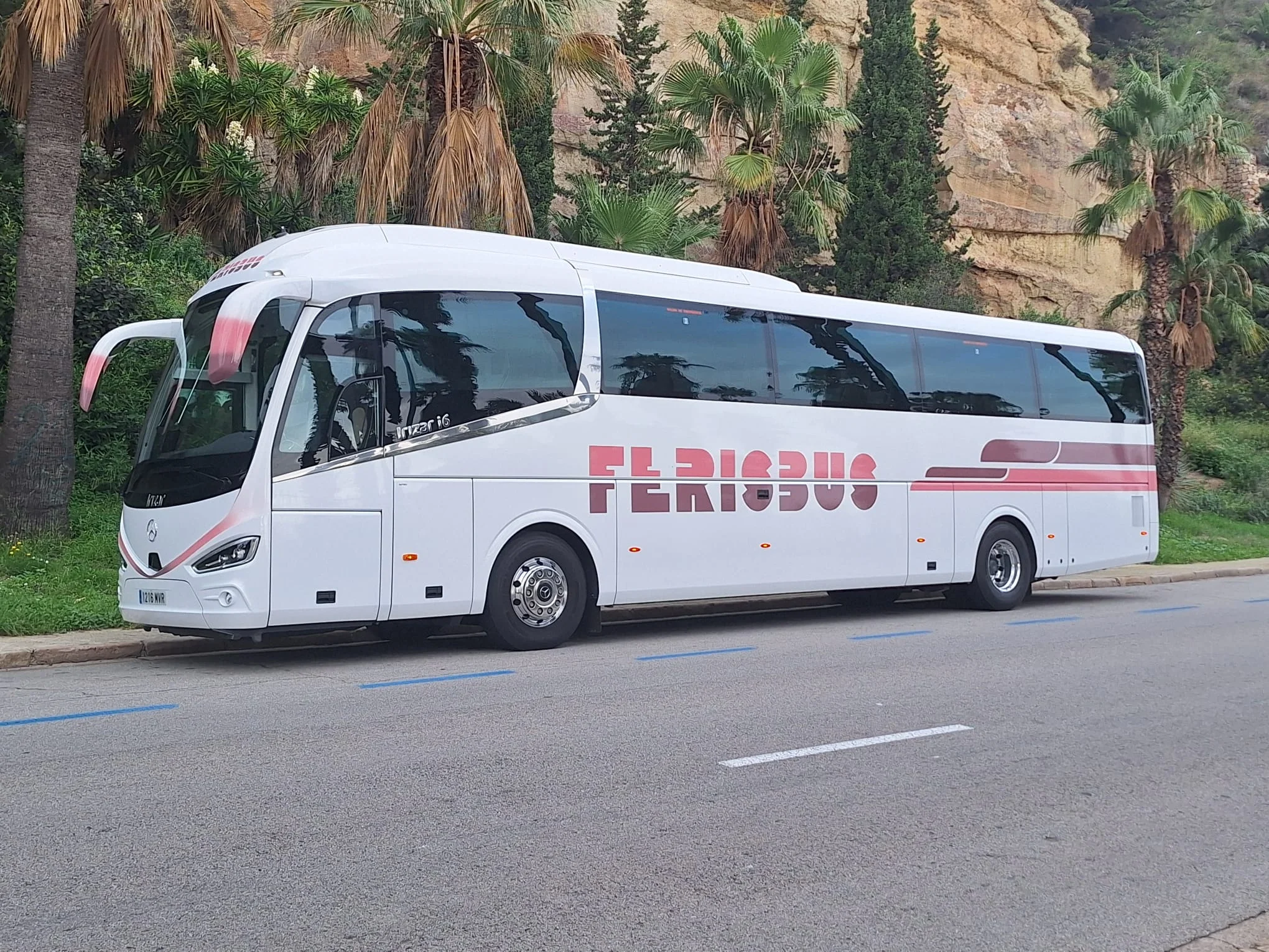 Autocar Ferisbus estacionat al costat d'una carretera amb palmeres