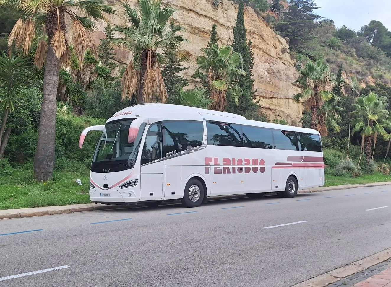Autocar Ferisbus aparcat davant d'un paisatge amb palmeres